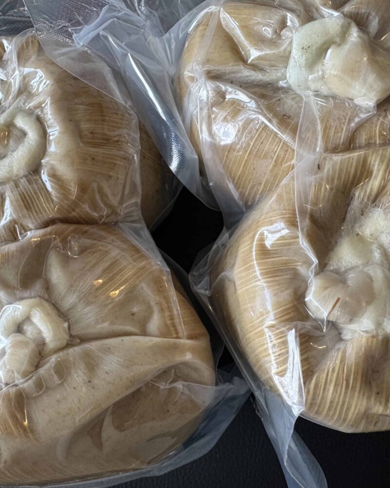 Fresh ga Kenkey – Pack of Six (6)
